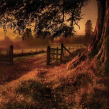 autumndusk