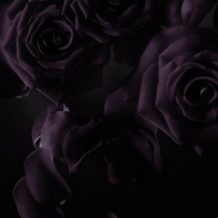 blackpatchouli